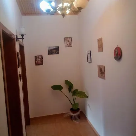 Nako Bar&restaurants 3*